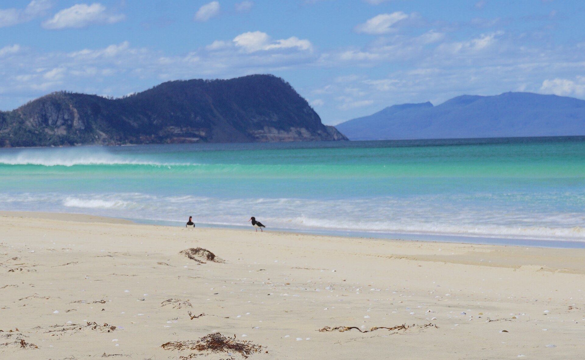 Marion Bay Beach
