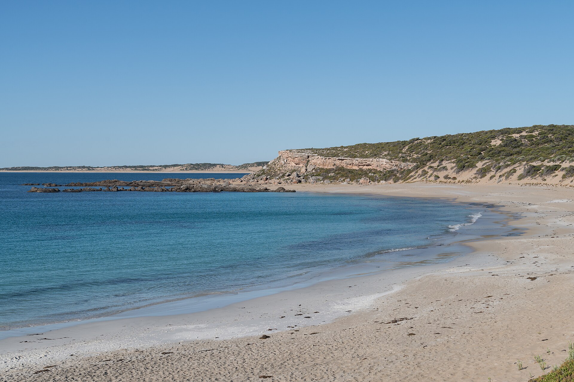 Shell Beach