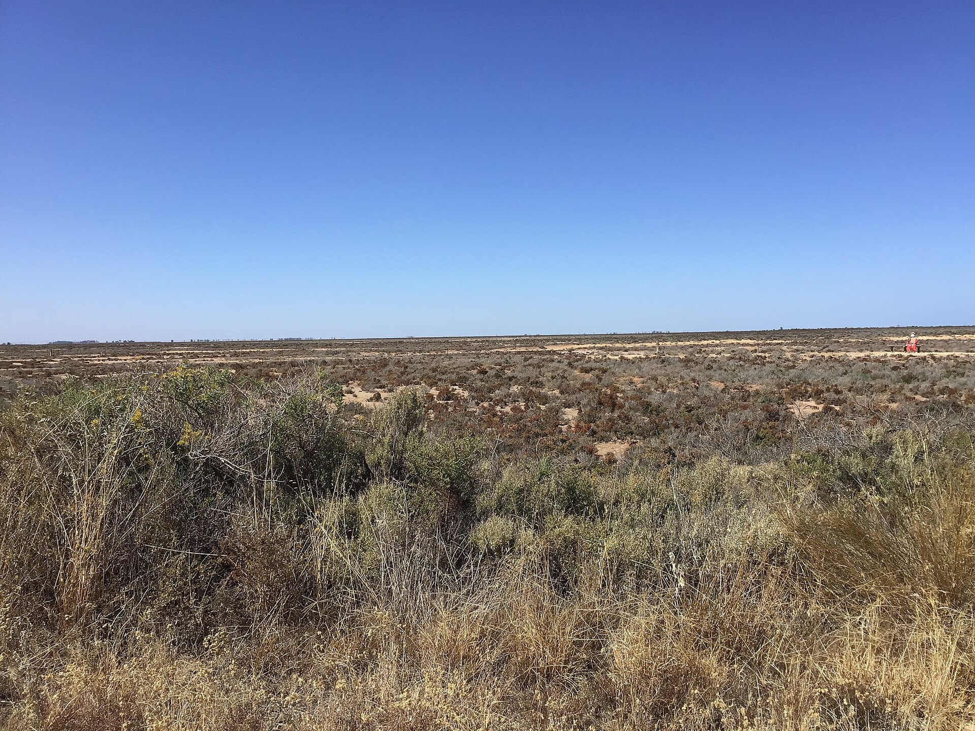 Clinton Conservation Park