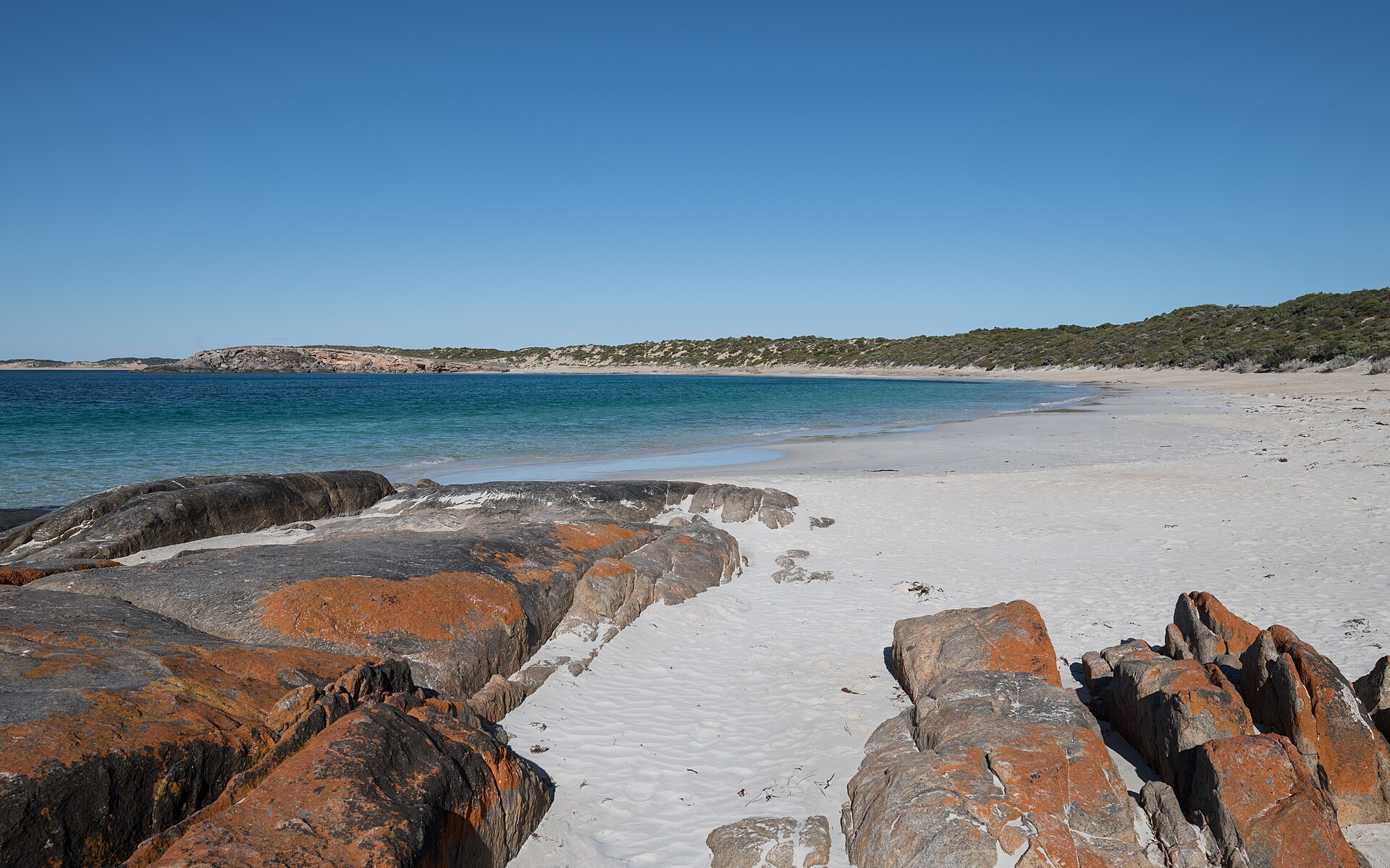 Dolphin Beach