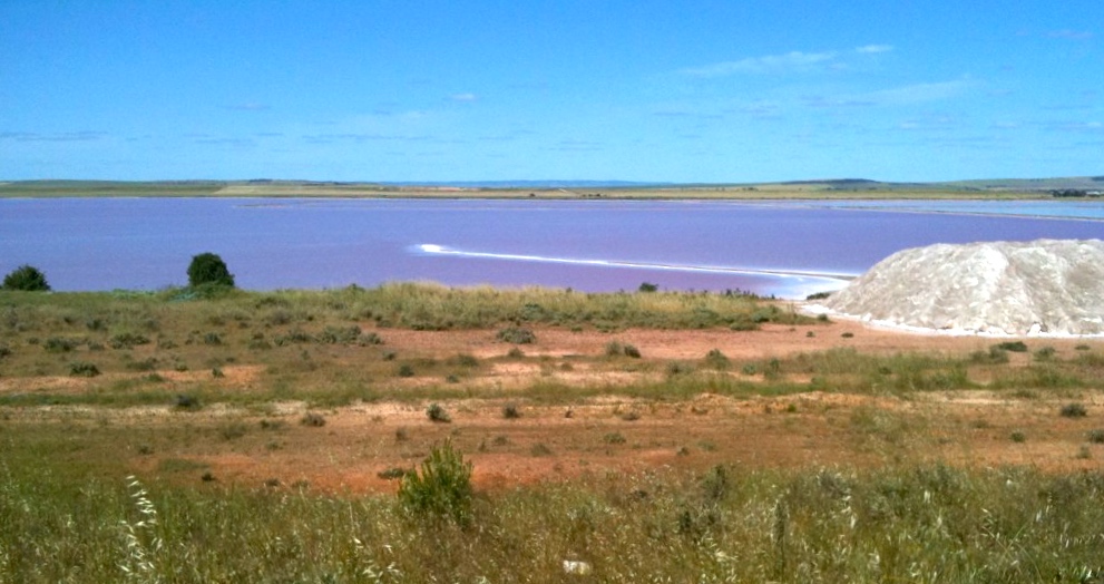 The Pink Lakes of the Southern Yorke