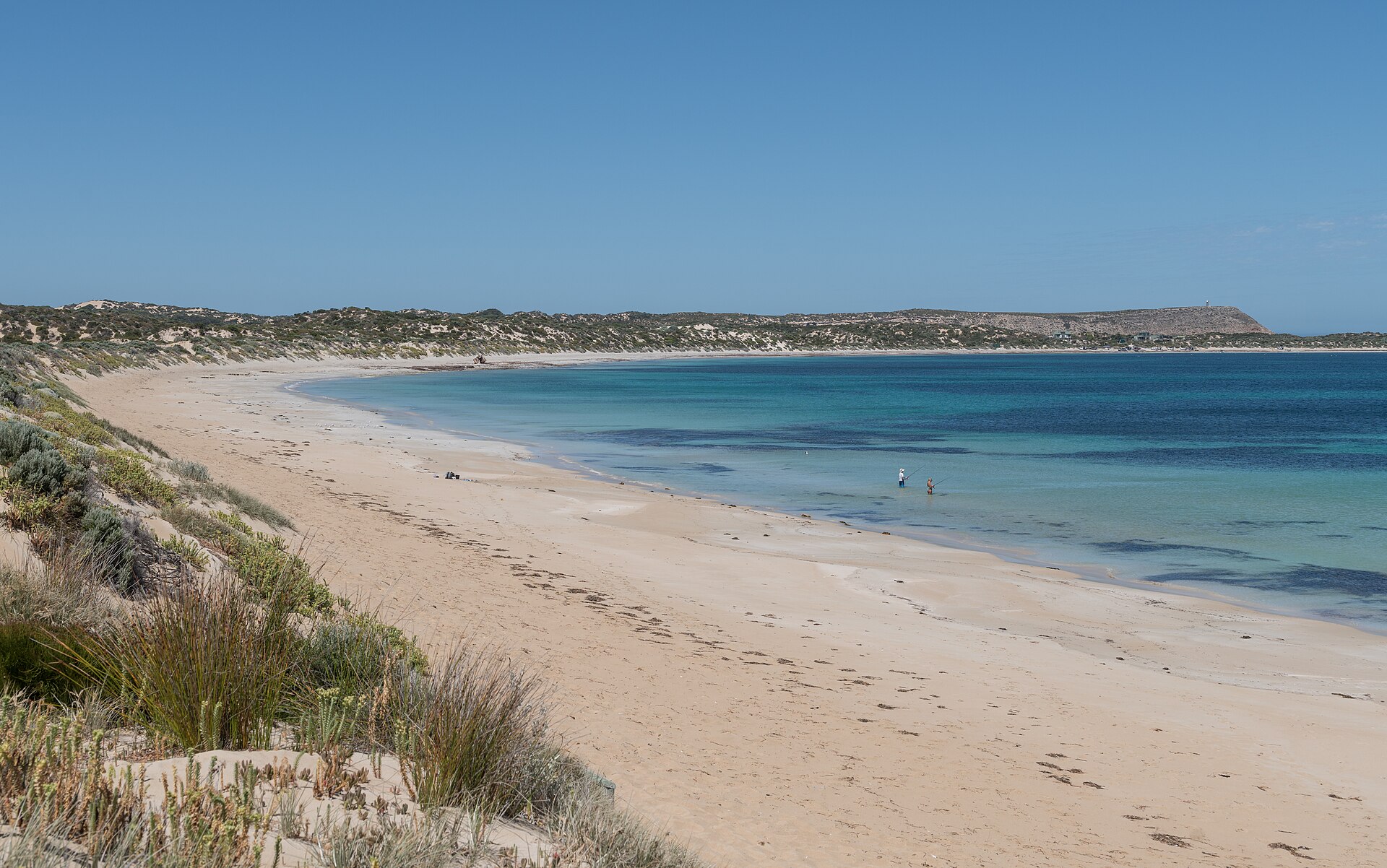 Wild South: A First Trip to Innes National Park