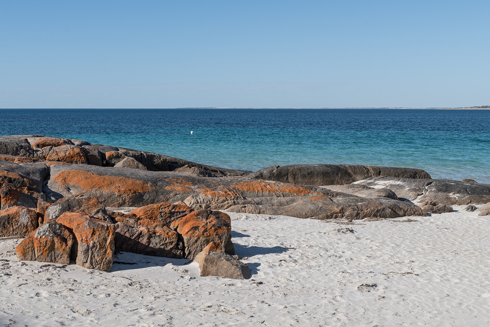 Crabbing the Yorke: a beginner's guide to blue swimmers